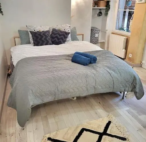 Maison Cosy * Laval (Mayenne)